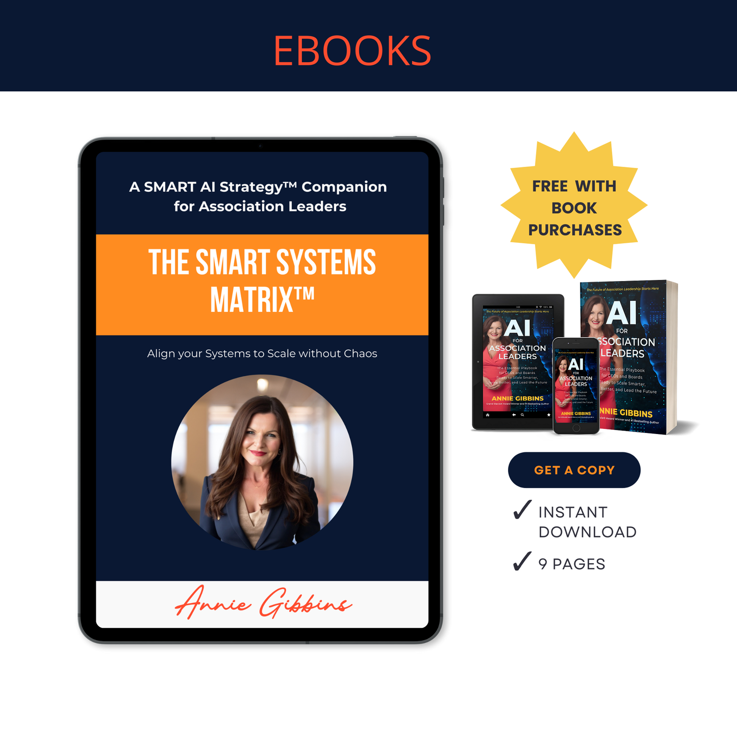 The Smart Systems Matrix™